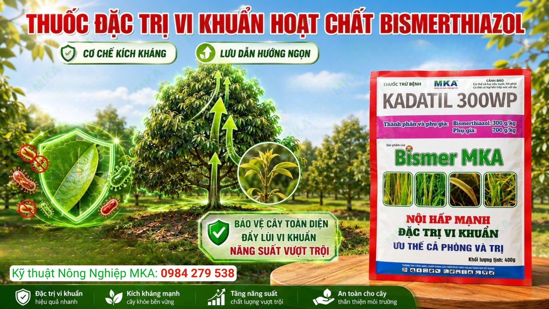 Cơ chế của thuốc đặc trị vi khuẩn hoạt chất Bismerthiazol